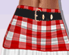 Cute Plaid Skirt RLL