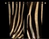 zebra curtains