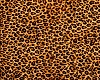 Leopard Pet Bed