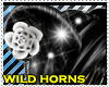 [JK]Wild>w>Horzn