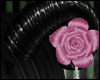p|Pink Rose Horns