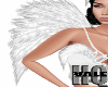 Angel White Wings