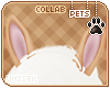 [Pets] Phar | ears v1