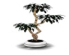 White potted Tree