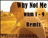 Enrique-Why Not Me Remix
