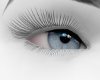 Sexy Blue  Eyes