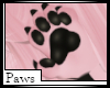 Male Sugar Paws