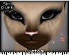 S; Syn's Furkini