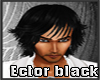 Ector black