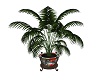 Country Potted Plant #3