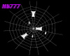 HB777 CI Cocoon Web