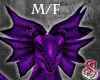 Dragon Ears Purple M/F