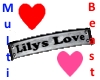 Lilys Love Collar