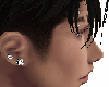 2 Diamond Earrings