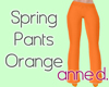 Spring Pants Orange
