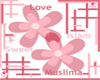 love_islam_sweet_muslima