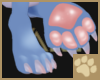 ~AM~ Sufi Paw Feet F