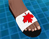 Canada Sandals (M)