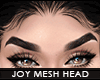 ! joy mesh head | t1