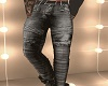LOGAN GREY JEAN BY BD