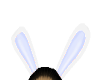 Bunny Ears Blue