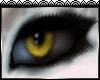 -S- Yellow Eyes [F]