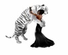 sweet white tiger hug