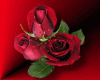 roses animated