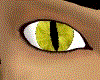 [DJ] Yellow Cat Eyes
