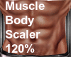 IO-Muscle Body Scaler 