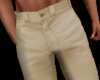 Tan Casual Pants