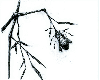 Sketches 3 - RPort