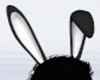 Bunny Ears Male