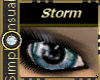 SS EWindows~Storm