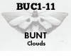 Bunt Clouds