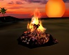 ~CR~Camp Fire/Poses