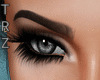 TRZ- Desire Eyebrows