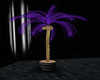 cat purple palm