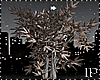 Potted Winter Tree