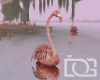 ID Romance Lake Flamingo