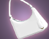 ♑️Capricorn Purse
