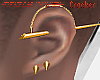 c: Gold Zander Earrings