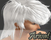 [BMC] PRANAV Hair white