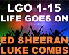 Luke Combs -Life Goes On