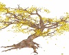 gold tree of valinor