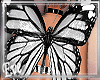 c Butterfly Wings