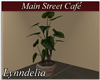 ~L~Cafe- Potted Plant