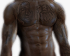 Hinta Dark Skin Tats