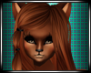 Brown Wolf v2