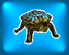 Native Turquoise Turtle